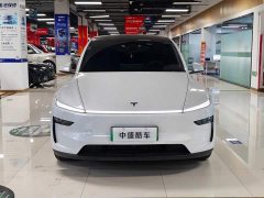 Tesla Model Y L Long Range All-Wheel Drive - ფოტო 2