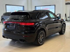 Porsche Cayenne 3.0T Platinum Edition - ფოტო 6