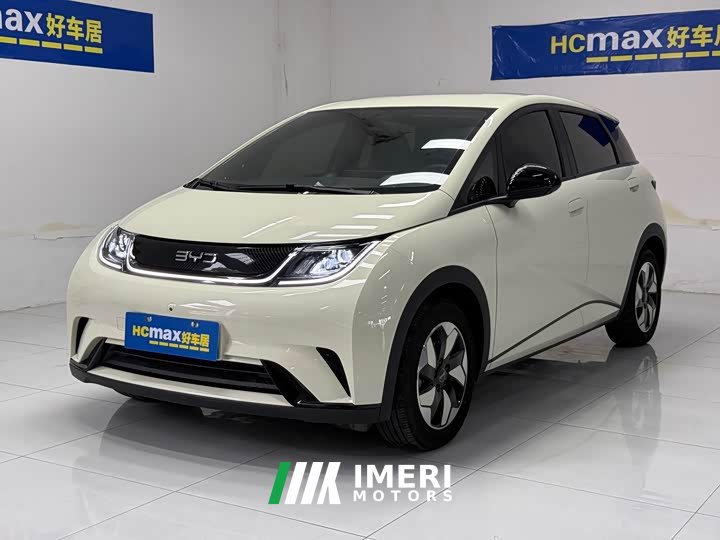 BYD Dolphin 420km Freedom Edition - ავტომობილი ჩინეთიდან