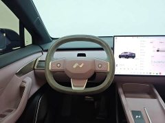 Nio Lerado L60 2024 60kWh Rear-Wheel Drive - ფოტო 10