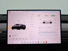 Nio Lerado L60 2024 60kWh Rear-Wheel Drive - ფოტო 11