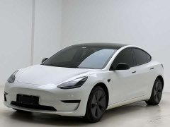 Tesla Model 3 Rear-Wheel Drive - ფოტო 1