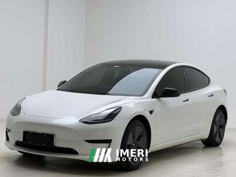 2022 Tesla Model 3 Rear-Wheel Drive - ავტომობილი ჩინეთიდან