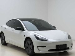 Tesla Model 3 Rear-Wheel Drive - ფოტო 2