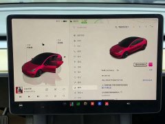 Tesla Model 3 Rear-Wheel Drive - ფოტო 8