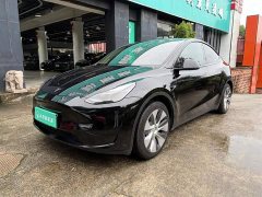 Tesla Model Y Rear-Wheel Drive - ფოტო 1