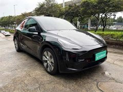 Tesla Model Y Rear-Wheel Drive - ფოტო 11