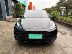 Tesla Model Y Rear-Wheel Drive - ფოტო 2