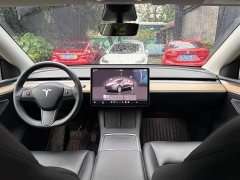 Tesla Model Y Rear-Wheel Drive - ფოტო 3