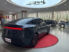 Tesla Model Y Rear-Wheel Drive - ფოტო 5