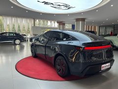 Tesla Model Y Rear-Wheel Drive - ფოტო 7