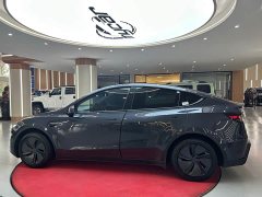 Tesla Model Y Rear-Wheel Drive - ფოტო 8