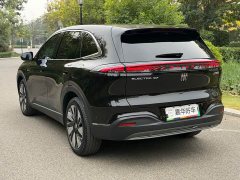 Buick Zhijing E7 1600 Ultra-Loaded Turbo Edition - ფოტო 10