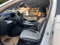 Geely Xingrui 2.0T Diesel Premium Edition - ფოტო 5