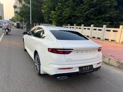 Geely Xingrui 2.0T Diesel Premium Edition - ფოტო 7