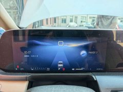 Buick GL8 Land Executive Cabin Advance Edition - ფოტო 6