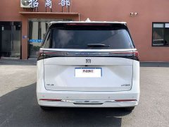 Buick GL8 Land Executive Cabin Advance Edition - ფოტო 7