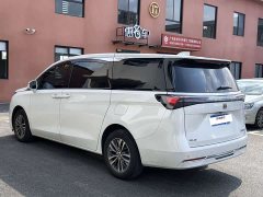 Buick GL8 Land Executive Cabin Advance Edition - ფოტო 8
