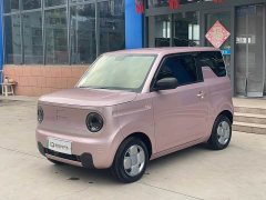 Geely Panda Mini 200km Endurance Edition - ფოტო 1