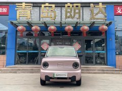 Geely Panda Mini 200km Endurance Edition - ფოტო 2
