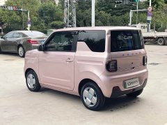 Geely Panda Mini 200km Endurance Edition - ფოტო 7