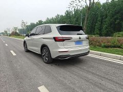 Volkswagen Viloran 380TSI Zunchi Edition - ფოტო 4