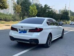 BMW 5 Series 530Li xDrive M Sport Package - ფოტო 7