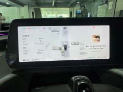 XPeng P7 P7i 610 Max Performance Edition - ფოტო 14