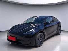 Tesla Model Y Rear-Wheel Drive - ფოტო 1