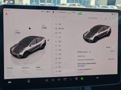 Tesla Model Y Rear-Wheel Drive - ფოტო 10