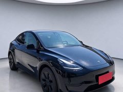 Tesla Model Y Rear-Wheel Drive - ფოტო 3