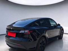 Tesla Model Y Rear-Wheel Drive - ფოტო 4