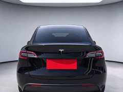 Tesla Model Y Rear-Wheel Drive - ფოტო 5