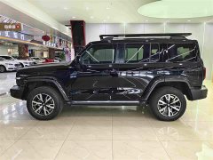 Tank 300 City Edition 2.0T Stylish - ფოტო 10
