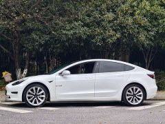 Tesla Model 3 Standard Range RWD Upgrade 3D6 - ფოტო 2