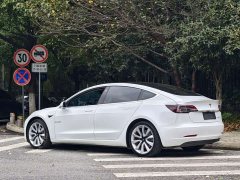 Tesla Model 3 Standard Range RWD Upgrade 3D6 - ფოტო 3