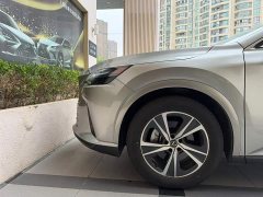 Lexus RX 300 AWD Premium Edition - ფოტო 11