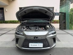Lexus RX 300 AWD Premium Edition - ფოტო 6