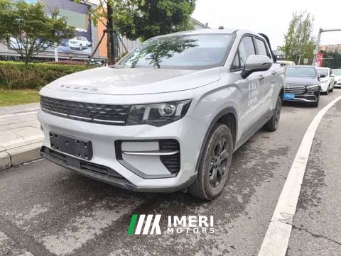 2025 Radar Goldhand 460km 4WD Long Bed King Kong