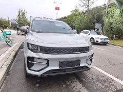 Geely Radar Goldhand 460km 4WD Long Bed King Kong - ფოტო 3