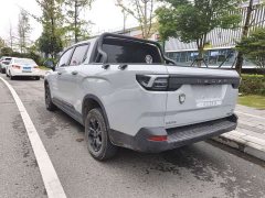 Geely Radar Goldhand 460km 4WD Long Bed King Kong - ფოტო 8