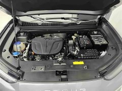 Jetour Jietu Dasheng 2022 1.6T DCT King Plus - ფოტო 8