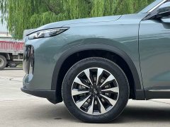Chery Tiggo 8 PLUS 2025 290TGDI DCT Luxury Edition - ფოტო 8