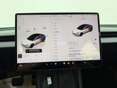 Tesla Model 3 Long Range All-Wheel Drive - ფოტო 15