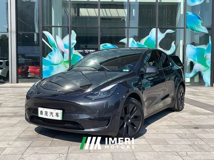 Tesla Model Y Rear-Wheel Drive