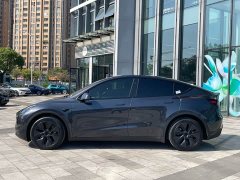 Tesla Model Y Rear-Wheel Drive - ფოტო 3