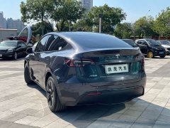 Tesla Model Y Rear-Wheel Drive - ფოტო 6