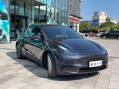 Tesla Model Y Rear-Wheel Drive - ფოტო 8