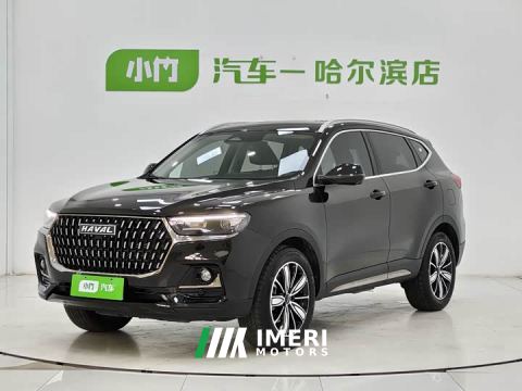 2024 Haval H6 National Trend Edition 1.5T Automatic Champion Version