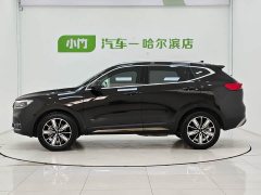 Haval H6 2023 National Trend Edition 1.5T Automatic Champion Version - ფოტო 4